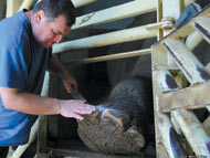 Новини от „Зоологическа градина София“