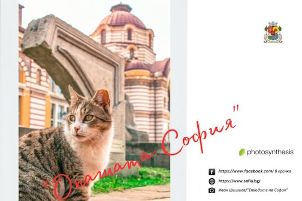 Фотоконкурсът „В крачка“ с първи победител и второ месечно предизвикателство