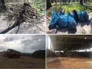 Столичната община  ще раздава безплатен компост в центъра на София