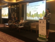 Започна разработката на Плана за „Зелен град“ на София