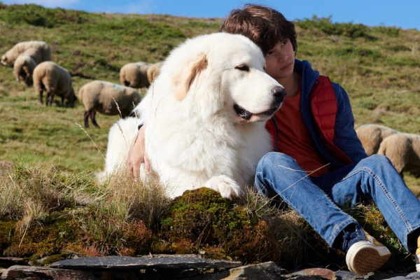 Мирослав Боршош: 