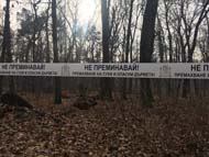 Предстои премахване на опасни дървета в местността „Кошарите“