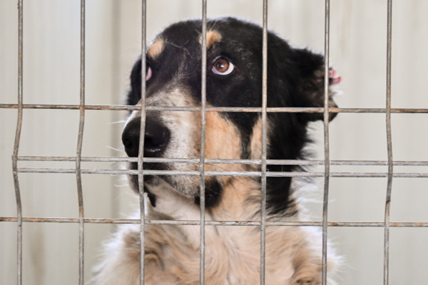 Започна обновяване на клиниката на ОП „Екоравновесие“ в район „Връбница“