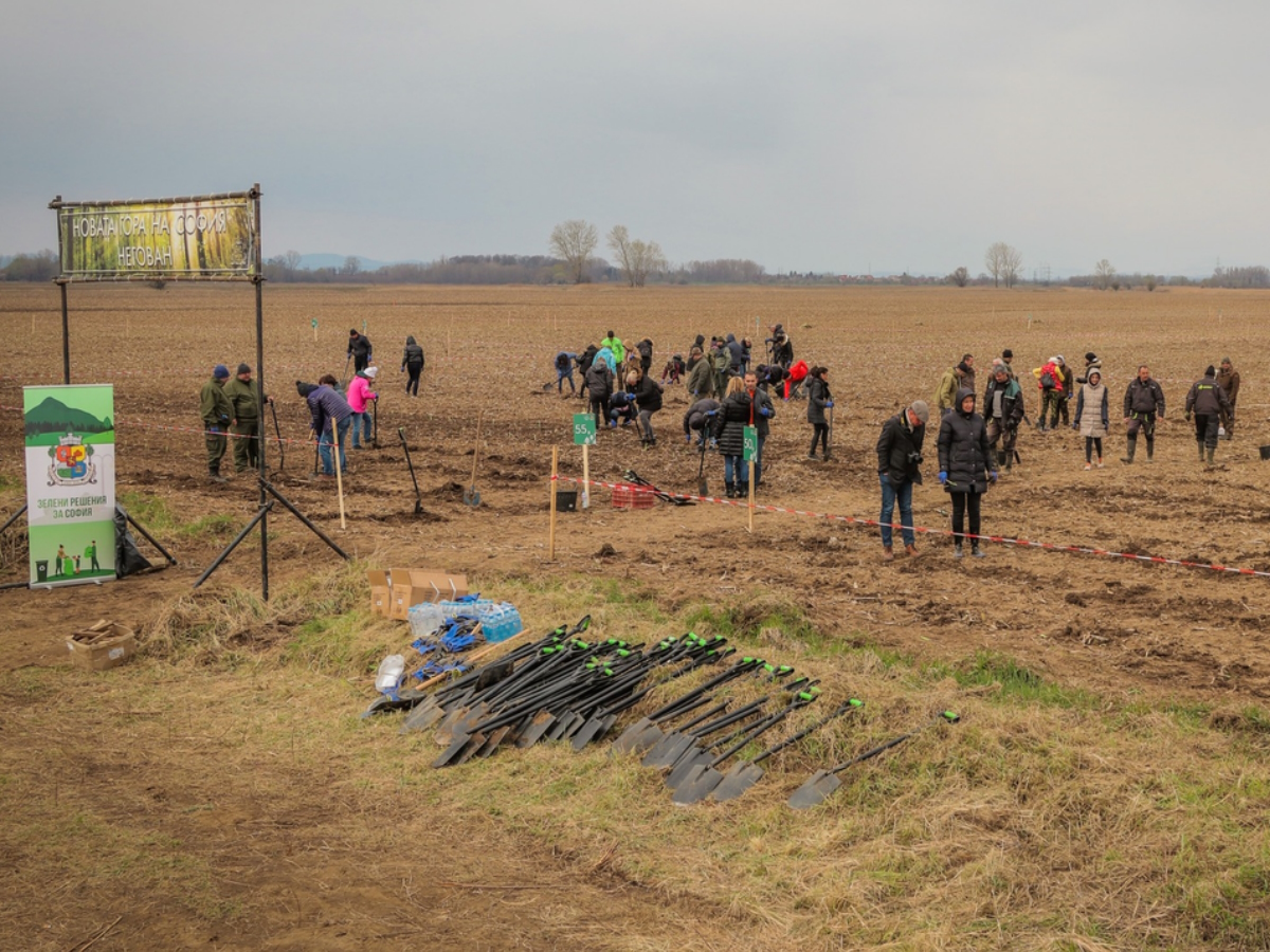 Фандъкова: Засаждаме около 58 хил. фиданки в зелен пояс около София през този пролетния сезон
