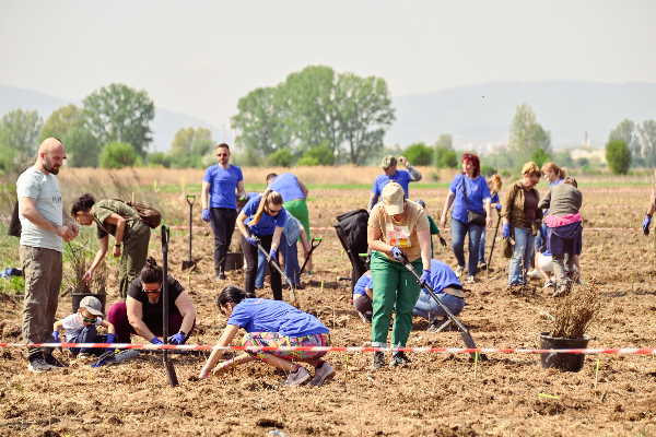 1 000 фиданки засадиха за първия уикенд доброволци в Новата гора на София