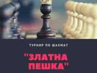 Ученическа инициатива по шахмат 