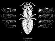 Natura Morta – пърформанс и изложба