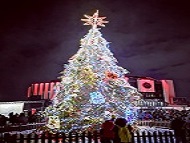 Светна коледната елха на София