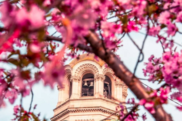 От началото на пролетта близо 600 дървета са засадени по улици, паркове и градини в София