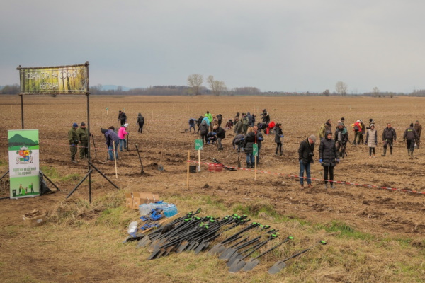 Близо 4 000 фиданки засадиха през изминалия уикенд доброволци в Новата гора на София – с. Негован