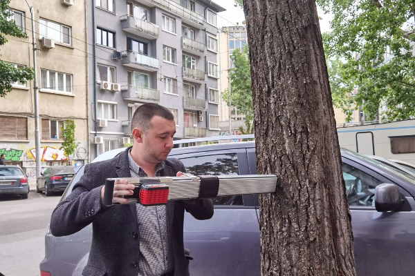 „Зелени системи“ обследват старите тополи по бул. „Васил Левски“