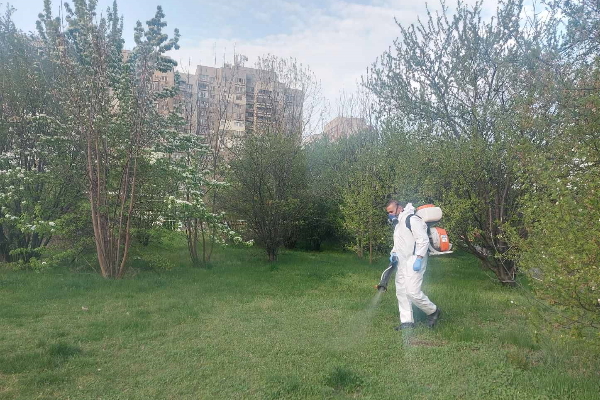 Извършват се следващи обработки на тревните площи за комари