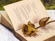 Стихове с послания за човешка топлота в Световния ден на поезията в Столична библиотека