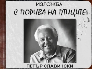 В галерия „София“ гостува изложба на Регионалния исторически музей – Добрич