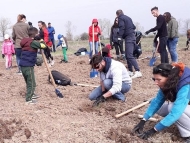 Започна засаждането на Новата гора на София