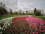 Цветни решения в градските паркове и градини