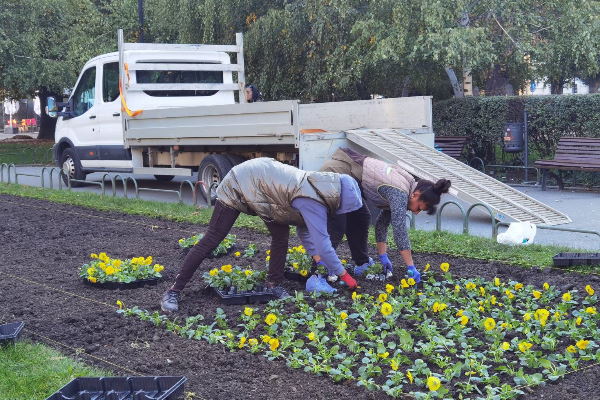 1300 нови дървета засаждат тази есен в София