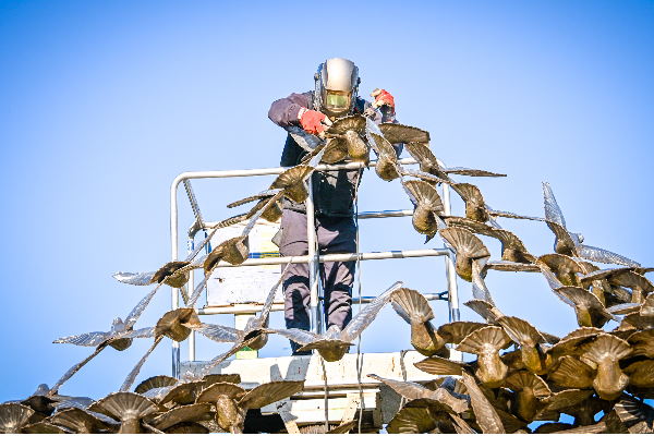 Върнаха гълъба с маслиновата клонка от скулптурната композиция в Южния парк на мястото му
