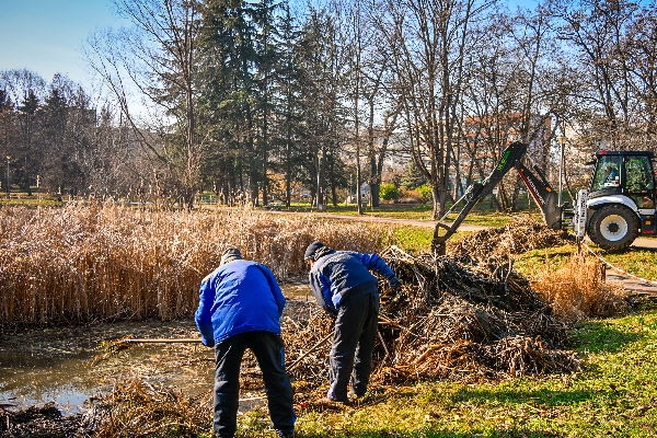 Почистват езерата в Южния парк