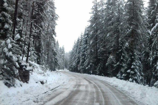 Информация за обстановката в София  на 30.12.2024 г. към 6.30 часа