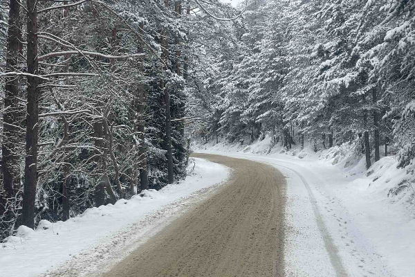 Столичната община увеличава броя на автобусите до Витоша от 18 януари