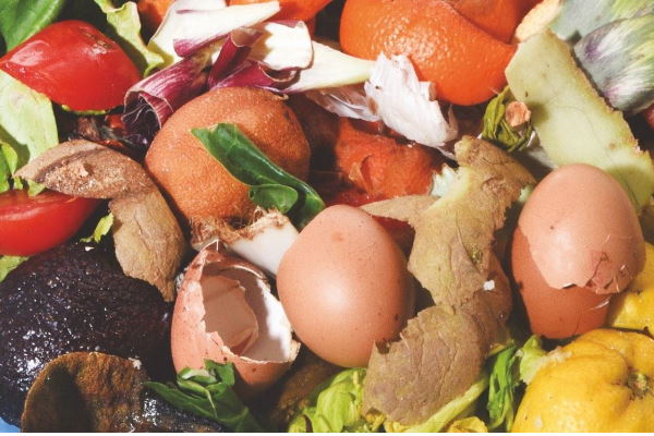 Рекордно количество от над 8 хил. тона хранителни отпадъци са преработени от Столичната община през 2024 година