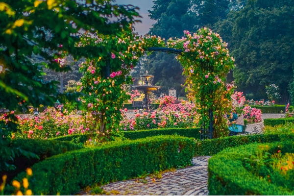 ​​​​​​​Столична община отчете сериозно увеличение на приходите и качеството на услугите на общинските предприятия