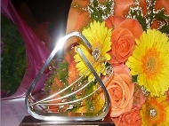 Национален конкурс за поезия „В полите на Витоша”