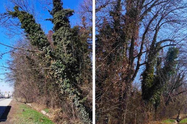 Столичната община отправя препоръка до МРРБ и областния управител да предприемат мерки по обезопасяване на границата на парк „Врана“ и бул. ”Цариградско шосе”