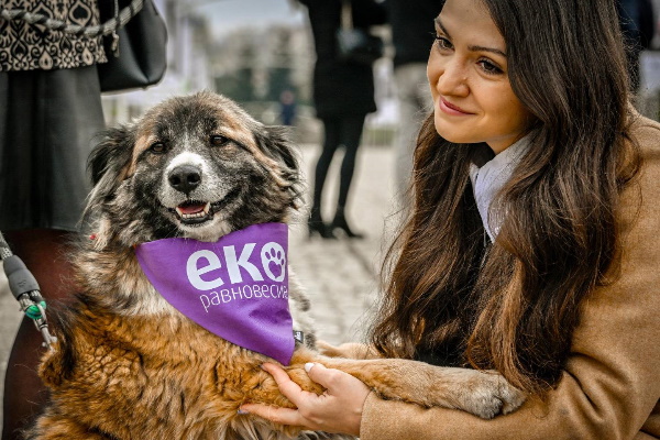 С изложба “Една подадена ръка. Твоята.” Столичната община призовава да се осиновяват бездомни кучета