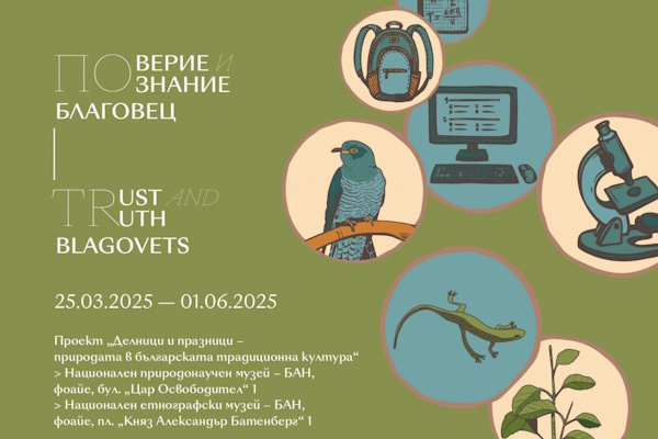 Столична програма 