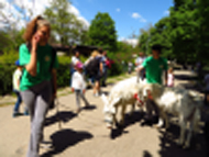 Софийският зоопарк кани доброволци