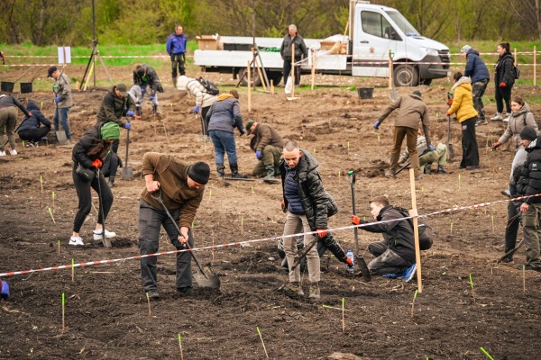 Залесяването на общо 4 600 дръвчета ще продължи до 18 май