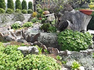 Конкурсът „Зелени решения за София” започва на 15 юни