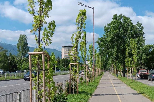 Васил Терзиев: “Развиваме зелената система с нов подход и визия за устойчивост”