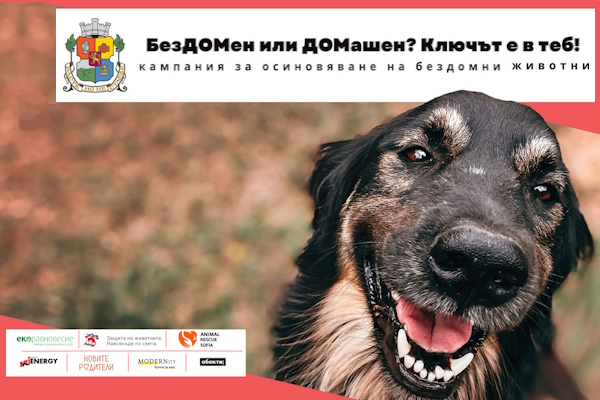 Кампанията „БезДОМен или ДОМашен? Ключът е в теб!“ със 109 осиновени животинки