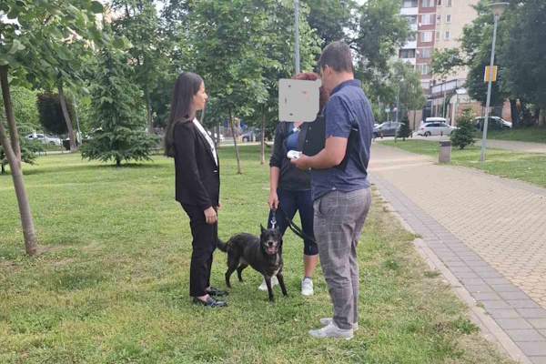 От началото на месеца са проверени над 360 стопани на домашни кучета в столичните паркове, градини и междублокови пространства и са съставени общо 26 акта