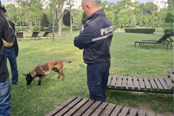 Столична община засили контрола над собствениците на домашни кучета -  2300 проверени и 186 акта за нарушения от началото на годината
