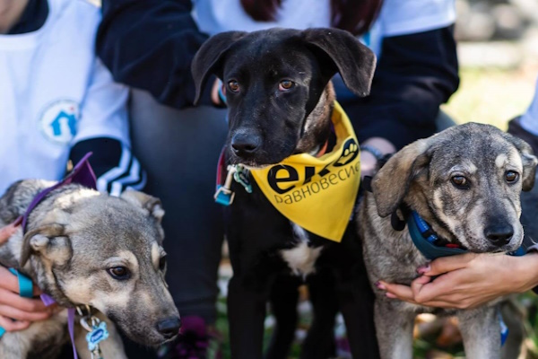 “Екоравновесие” подсилва капацитета си с 5 нови позиции и без допълнително натоварване на бюджета
