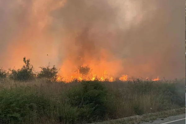 По нареждане на кмета Терзиев аварийни екипи на общината се включиха в борбата с пожара край Костинброд