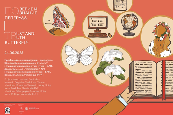 TRUST AND TRUTH: BUTTERFLY - EXHIBITION