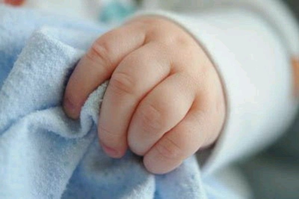 28 станаха бебетата, родени по 