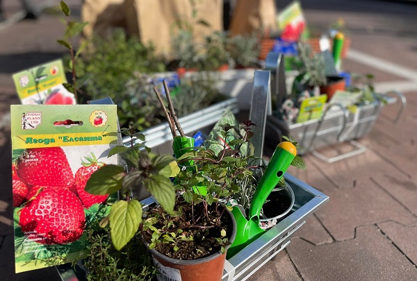 Подготвят 6 места в София с вертикално градско земеделие по проект CityZen