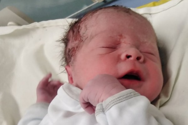 Владимир се включи в ин витро отбора на Столична община