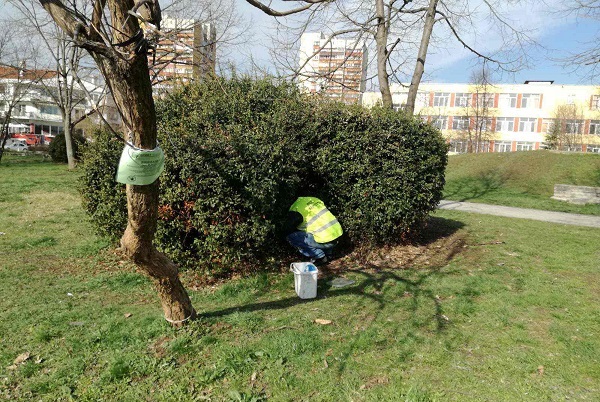 Обработват зелени площи срещу ларви на комари