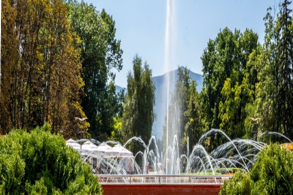 Шест зелени проекта на столични райони са класирани в конкурса  „Обичам природата и аз участвам в нея“