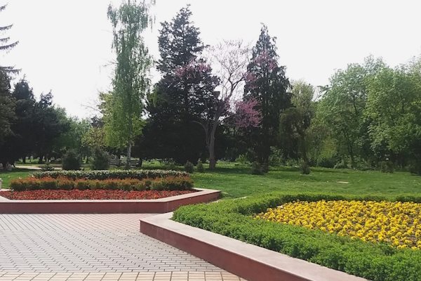 Нов директор ще ръководи столичното предприятие “Паркове и градски градини”