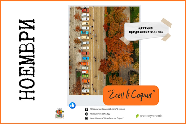 Кой е победителят за октомври и какво е новото месечно предизвикателство на фотоконкурса „В крачка“?