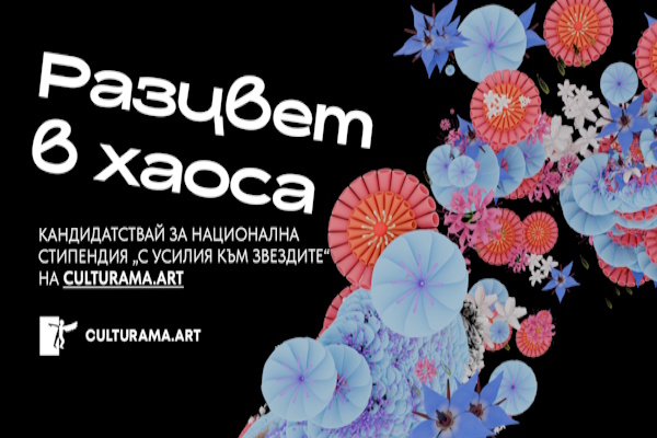 Национална стипендия „С усилия към звездите“ приема кандидатури в 5 направления на изкуството