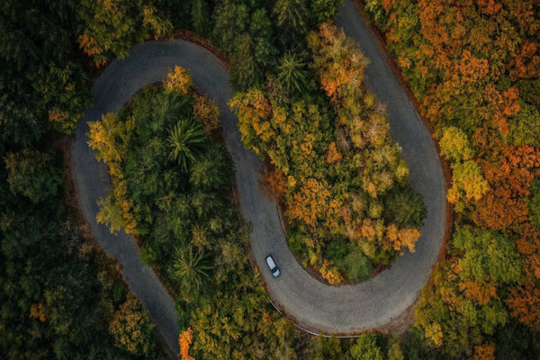 Кметът Васил Терзиев: Най-сетне има реален напредък по Плана за управление на Природен парк „Витоша“